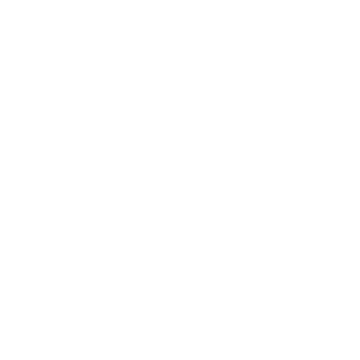 A family history chronicle